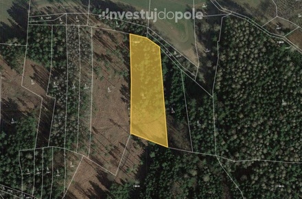 Prodej lesa 6 146 m², Vilice
