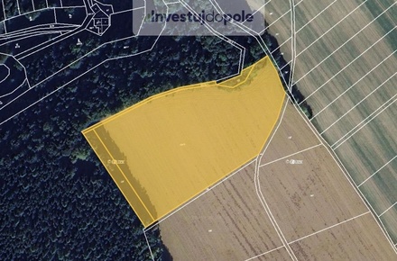 Prodej podílu 1/12 pole 1 809 m², Dolní Dobrouč - Lanšperk