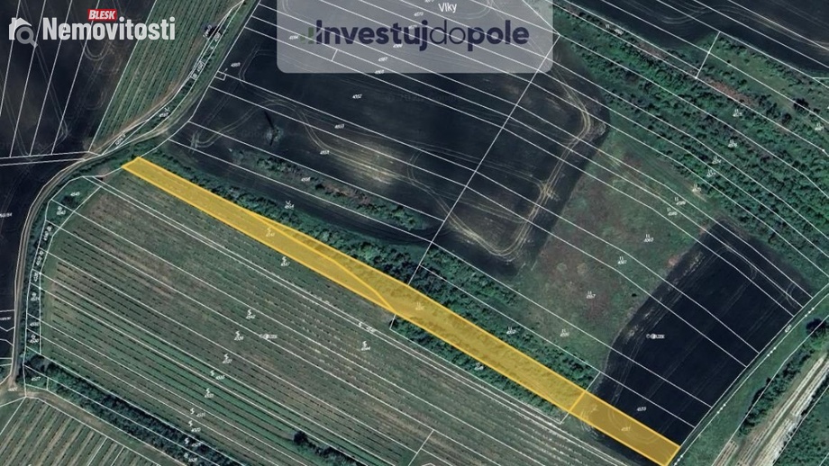 Prodej louky 4 020 m², Starovičky