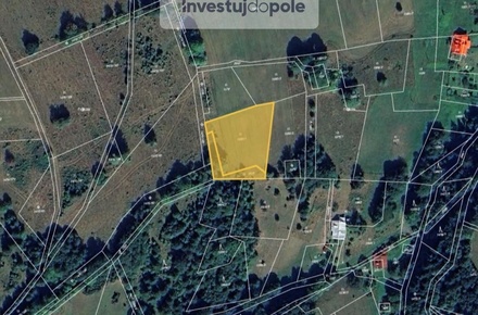 Prodej podílu 1/3 louky 750 m², Horní Lomná