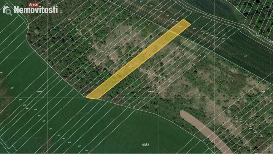 Prodej louky 1 746 m², Velké Němčice
