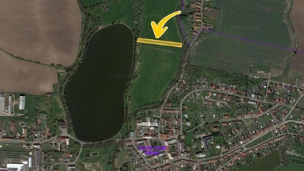 Prodej louky 2 975 m², Vysoké Veselí