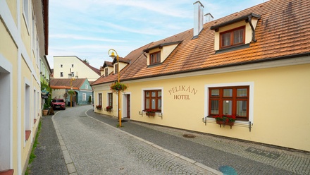 Prodej nemovitosti pro ubytování 300 m², Třeboň I