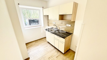 Pronájem bytu 1+1 40 m², Opava - Předměstí