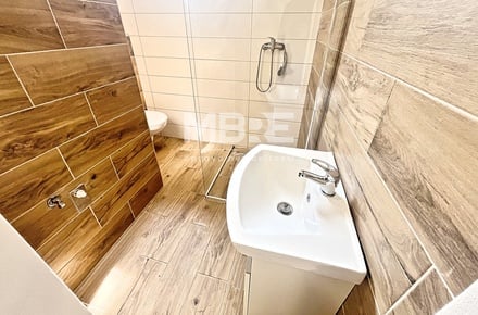 Pronájem bytu 1+1 40 m², Opava - Předměstí