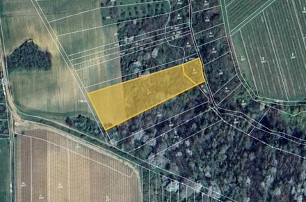 Prodej louky 12 098 m², Újezdec