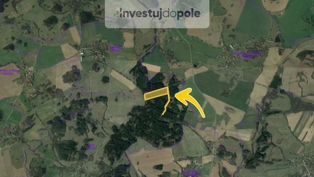 Prodej podílu 3/8 lesa 12 302 m², Milevsko