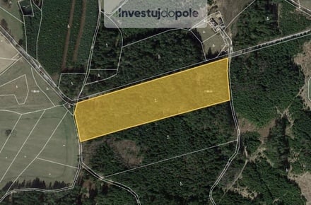 Prodej podílu 3/8 lesa 12 302 m², Milevsko