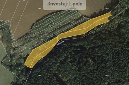 Prodej lesa 6 626 m², Kozojedy