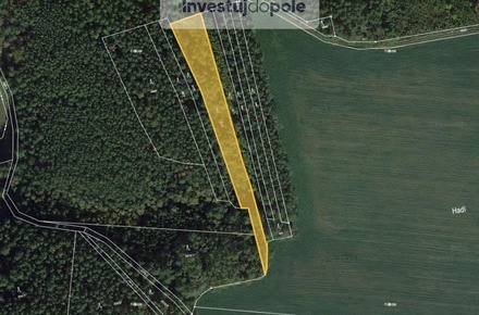 Prodej lesa 2 821 m², Kozojedy