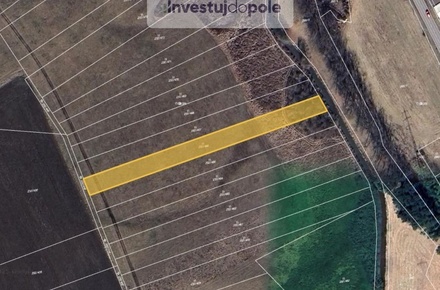 Prodej louky 2 868 m², Kly