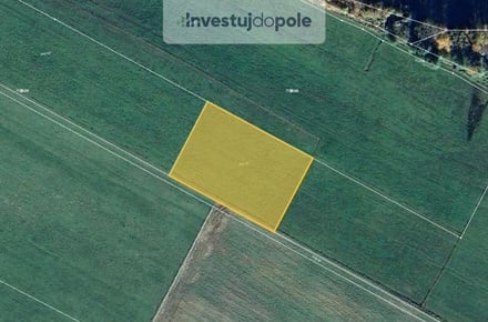 Prodej pole 5 541 m², Nové Hrady - Štiptoň