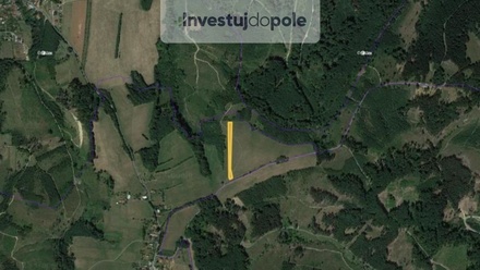 Prodej louky 3 114 m², Loučka