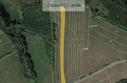 Prodej louky 3 114 m², Loučka - Lázy