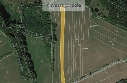 Prodej louky 3 114 m², Loučka