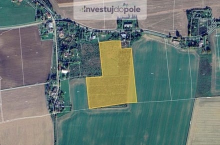 Prodej pole 28 555 m², Mikulovice