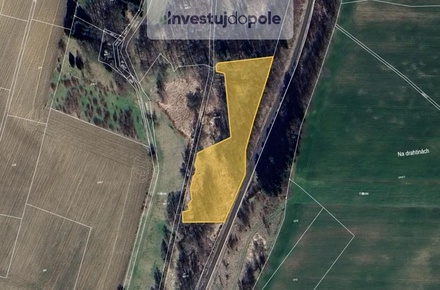 Prodej louky 6 153 m², Hlinsko