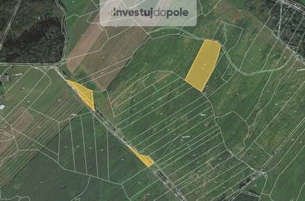 Prodej pole 12 273 m², Skořice