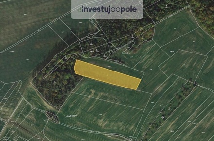 Prodej pole 5 226 m², Pavlice