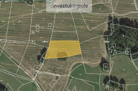 Prodej pole 5 320 m², Chanovice - Dobrotice
