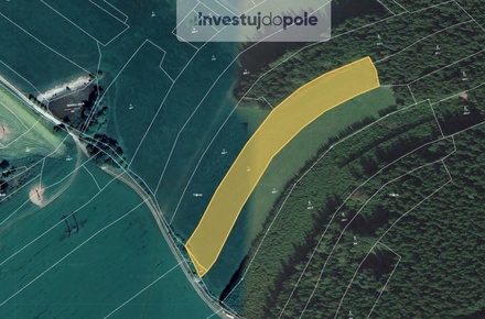 Prodej louky 8 821 m², Kadolec