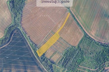 Prodej sadu / vinice 8 175 m², Mělčany