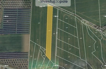 Prodej podílu 1/2 pole 2 012 m², Lešany