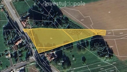 Prodej louky 5 383 m², Sopotnice