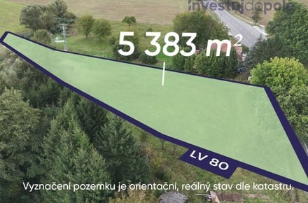 Prodej louky 5 383 m², Sopotnice