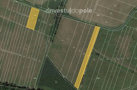 Prodej podílu 1/2 louky 2 604 m², Kladruby nad Labem - Kolesa