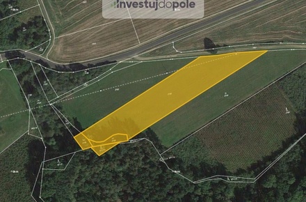 Prodej podílu 4/9 pole 3 564 m², Břasy - Darová
