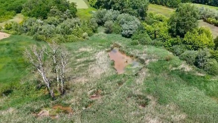 Prodej louky 21 655 m², Hovorany