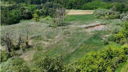 Prodej louky 21 655 m², Hovorany