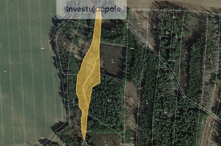 Prodej specifického pozemku 6 561 m², Hlasivo