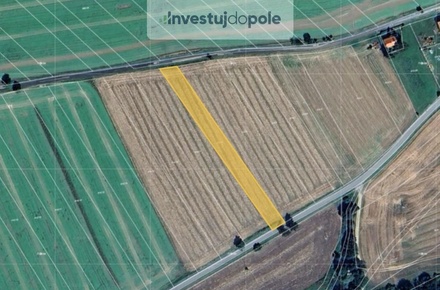 Prodej podílu 1/2 pole 1 641 m², Dobrovítov