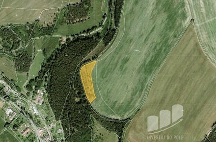 Prodej louky 5 828 m², Bělá nad Svitavou