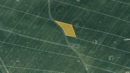 Prodej podílu 1/2 pole 11 814 m², Jedousov