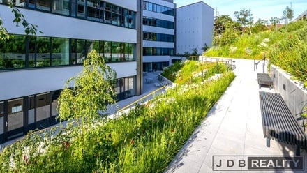 Pronájem kanceláře 120 m², Praha - Smíchov