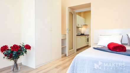 Pronájem bytu 1+1 40 m², Praha - Vinohrady