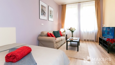 Pronájem bytu 1+1 40 m², Praha - Vinohrady