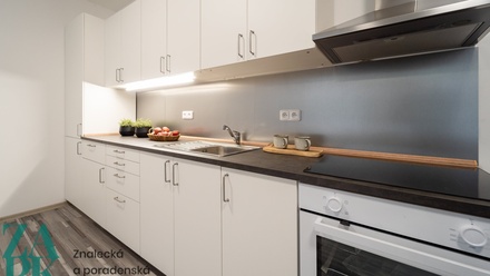 Pronájem bytu 1+kk 55 m², Ústí nad Labem - Střekov