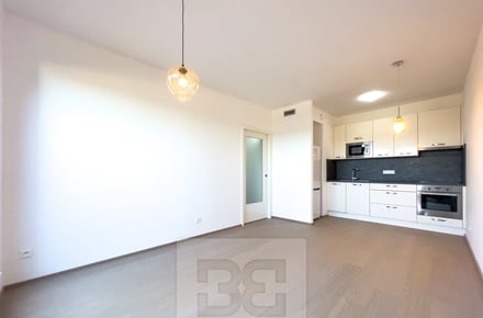 Pronájem bytu 2+kk 45 m², Praha - Strašnice