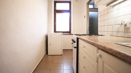 Pronájem bytu 1+1 45 m², Brno - Staré Brno