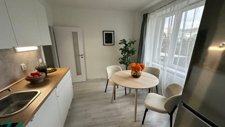 Pronájem bytu 2+kk 37 m², Ústí nad Labem - Střekov