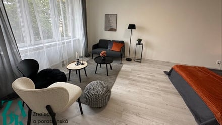 Pronájem bytu 2+kk 37 m², Ústí nad Labem - Střekov