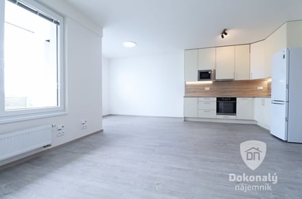 Pronájem bytu 1+kk 47 m², Praha - Hlubočepy