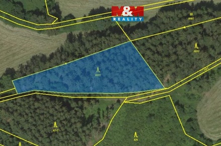 Prodej lesa 38 344 m², Borovnice