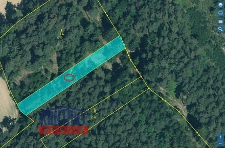 Prodej lesa 22 768 m², Křelovice - Rozněvice