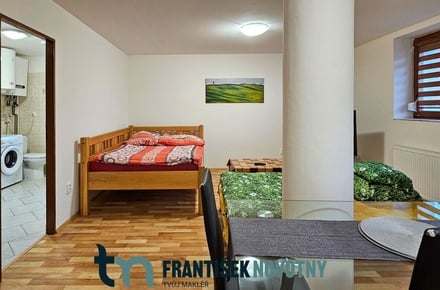 Pronájem bytu 1+kk 35 m², Olbramovice