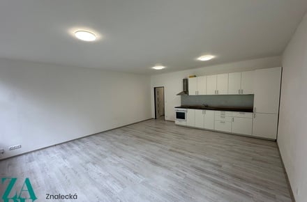 Pronájem bytu 1+kk 55 m², Ústí nad Labem - Střekov